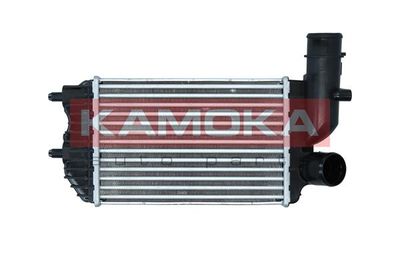 Charge Air Cooler KAMOKA 7750117