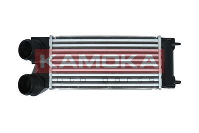 Charge Air Cooler KAMOKA 7750119