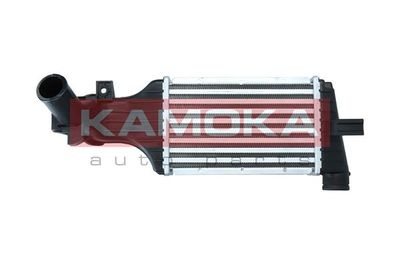 Charge Air Cooler KAMOKA 7750134