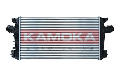 Charge Air Cooler KAMOKA 7750137
