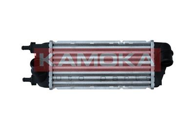 Charge Air Cooler KAMOKA 7750146