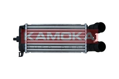 Charge Air Cooler KAMOKA 7750149
