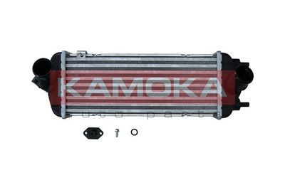 Charge Air Cooler KAMOKA 7750150
