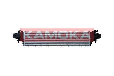 Charge Air Cooler KAMOKA 7750153