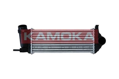Charge Air Cooler KAMOKA 7750154
