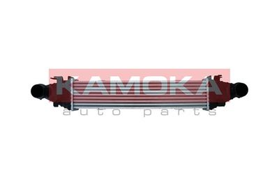 Charge Air Cooler KAMOKA 7750156