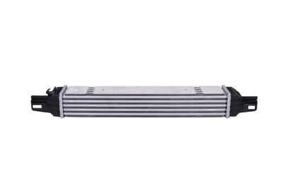 Charge Air Cooler KAMOKA 7750159