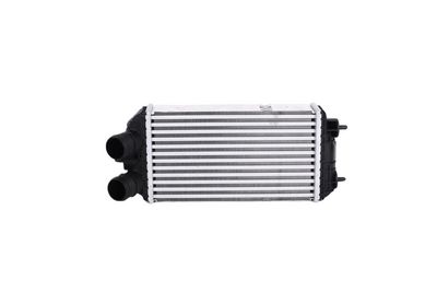 Charge Air Cooler KAMOKA 7750160