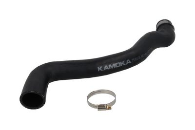 Radiator Hose KAMOKA 7910034