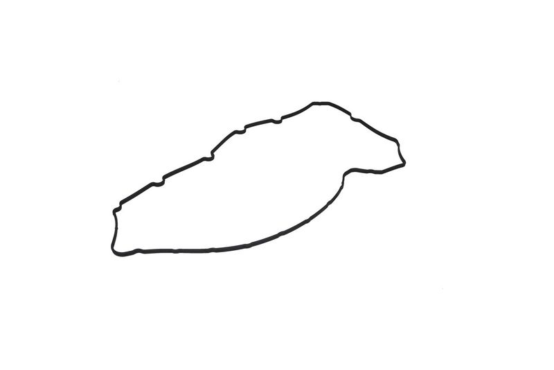 KAMOKA 8703207 Gasket, cylinder head cover