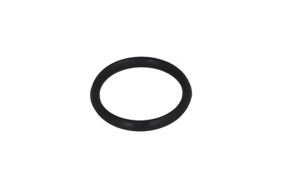 Gasket, intake manifold KAMOKA 8704008
