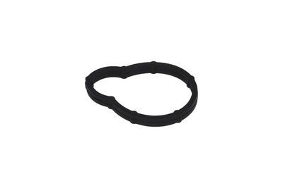Gasket, intake manifold KAMOKA 8704070