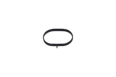 Gasket, intake manifold KAMOKA 8704078