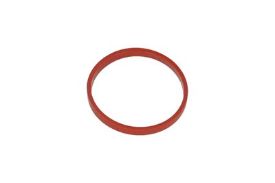 Gasket, intake manifold KAMOKA 8704112