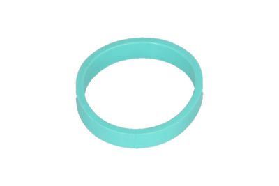 Gasket, intake manifold KAMOKA 8704140