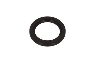 Shaft Seal, crankshaft KAMOKA 8707064