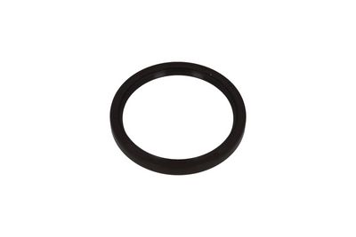Shaft Seal, crankshaft KAMOKA 8707081