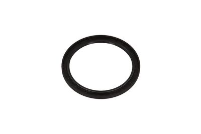 Shaft Seal, crankshaft KAMOKA 8707113
