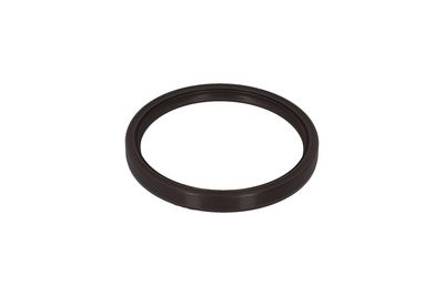Shaft Seal, crankshaft KAMOKA 8707123