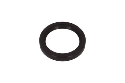 Shaft Seal, crankshaft KAMOKA 8707143