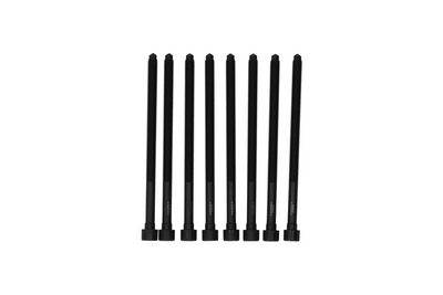 Cylinder Head Bolt Set KAMOKA 8709039