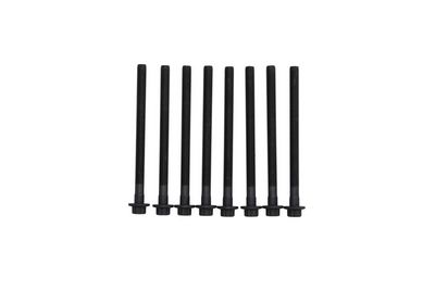 Cylinder Head Bolt Set KAMOKA 8709054