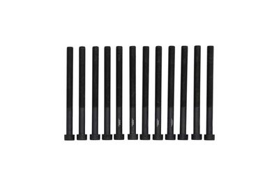 Cylinder Head Bolt Set KAMOKA 8709153