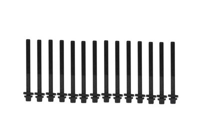 Cylinder Head Bolt Set KAMOKA 8709169
