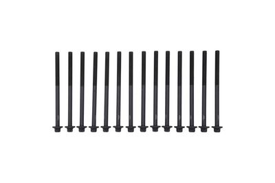 Cylinder Head Bolt Set KAMOKA 8709189