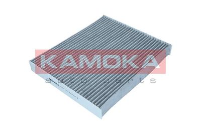 Filter, cabin air KAMOKA F513901