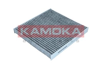Filter, cabin air KAMOKA F520501