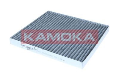 Filter, cabin air KAMOKA F523901
