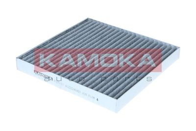 Filter, cabin air KAMOKA F525101