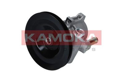 Hydraulic Pump, steering KAMOKA PP148