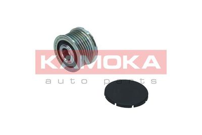 Alternator Freewheel Clutch KAMOKA RC138