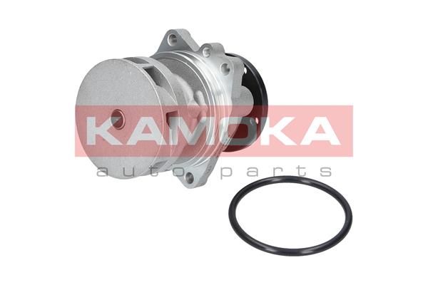 KAMOKA T0059 Water Pump, engine cooling