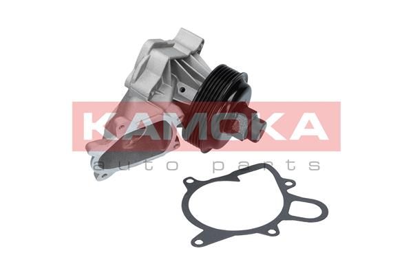 KAMOKA T0060 Water Pump, engine cooling