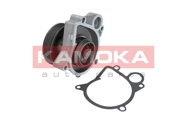 KAMOKA T0061 Water Pump, engine cooling