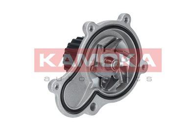 Water Pump, engine cooling KAMOKA T0076