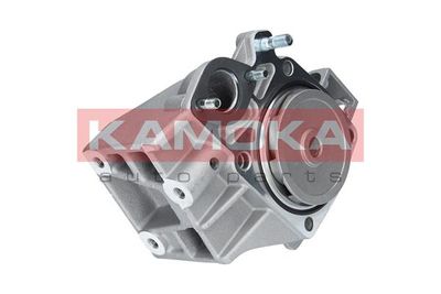 Water Pump, engine cooling KAMOKA T0098