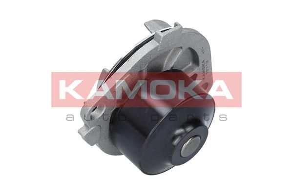 KAMOKA T0113 Water Pump, engine cooling