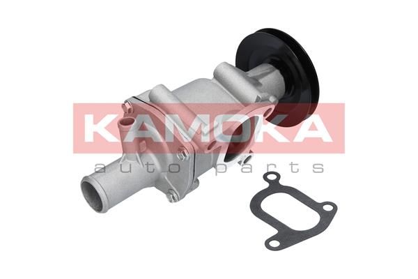 KAMOKA T0116 Water Pump, engine cooling