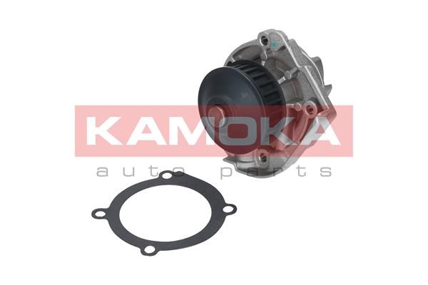 KAMOKA T0118 Water Pump, engine cooling
