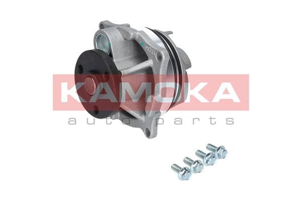 KAMOKA T0129 Water Pump, engine cooling