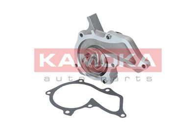 Water Pump, engine cooling KAMOKA T0134