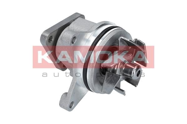KAMOKA T0136 Water Pump, engine cooling
