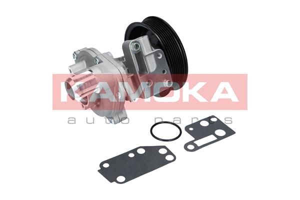 KAMOKA T0142 Water Pump, engine cooling
