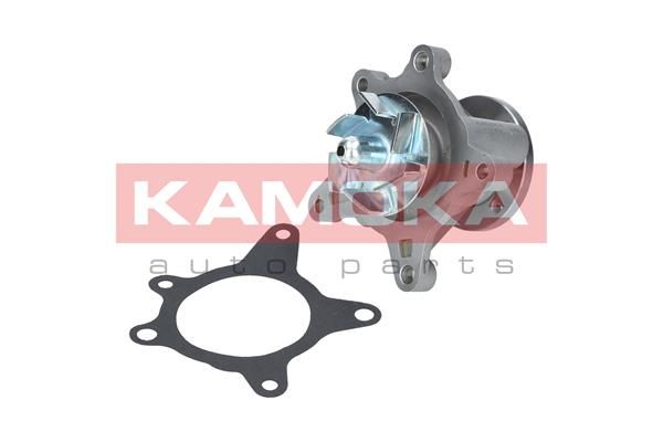 KAMOKA T0163 Water Pump, engine cooling