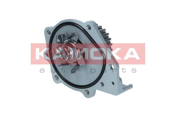 KAMOKA T0174 Water Pump, engine cooling