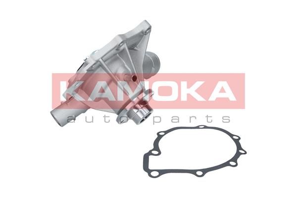 KAMOKA T0189 Water Pump, engine cooling